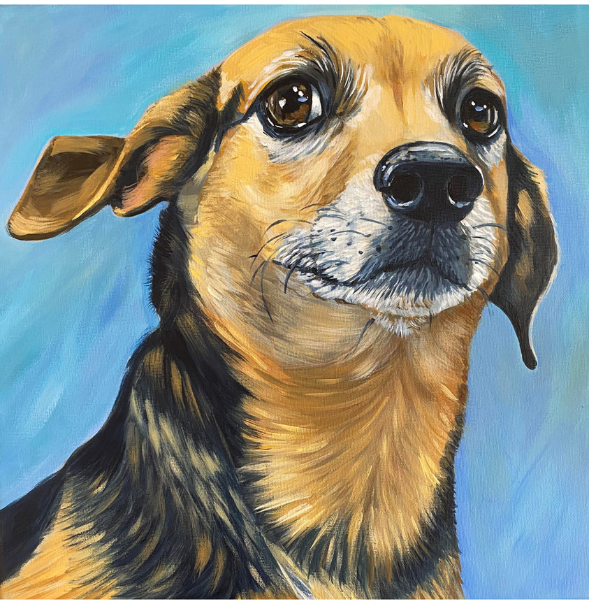 Custom Pet Portrait Commission