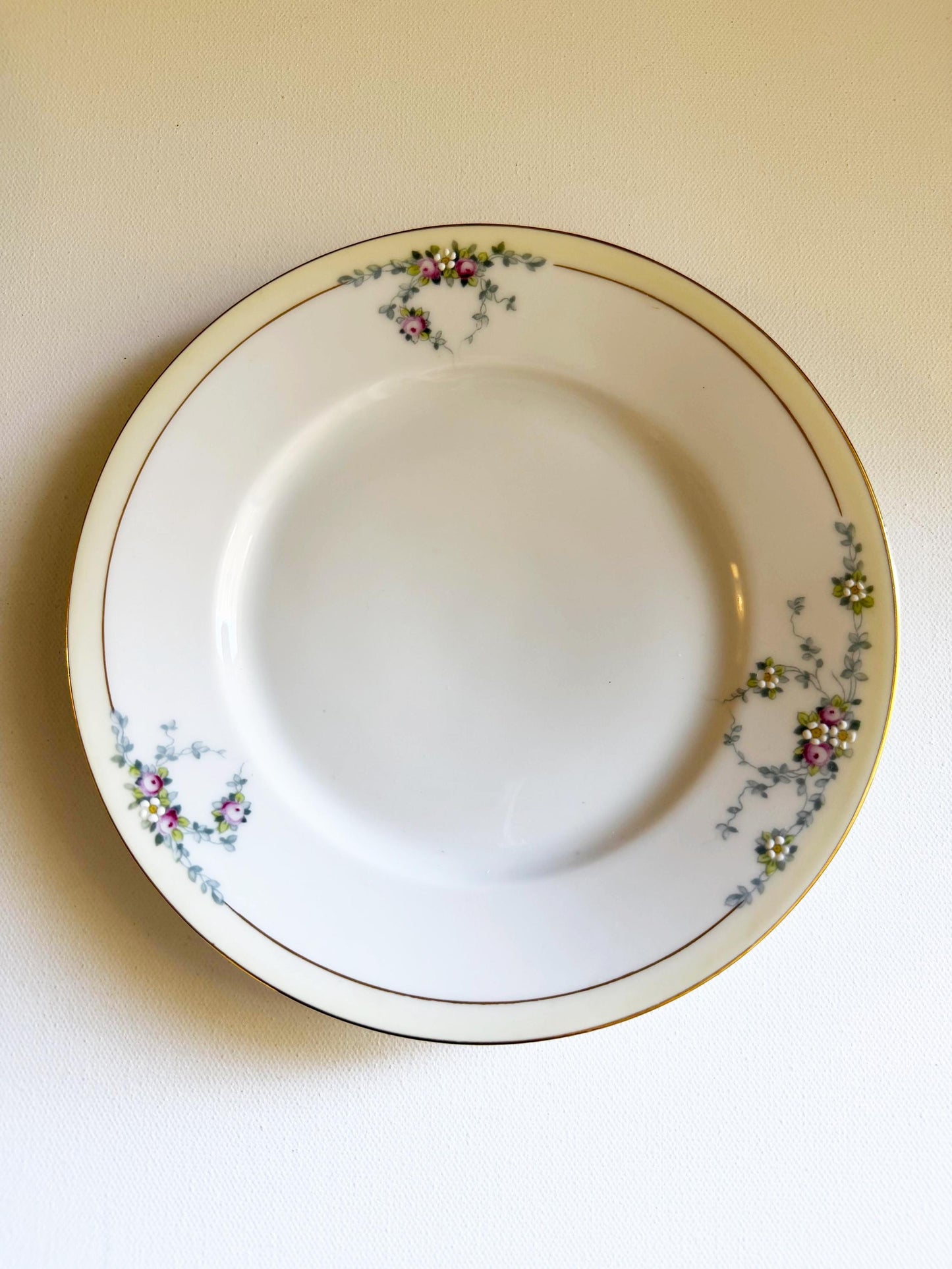 Custom Hand-Painted Dog Portrait on a Vintage Plate, dainty baviarian, small 6" med. 7.5"