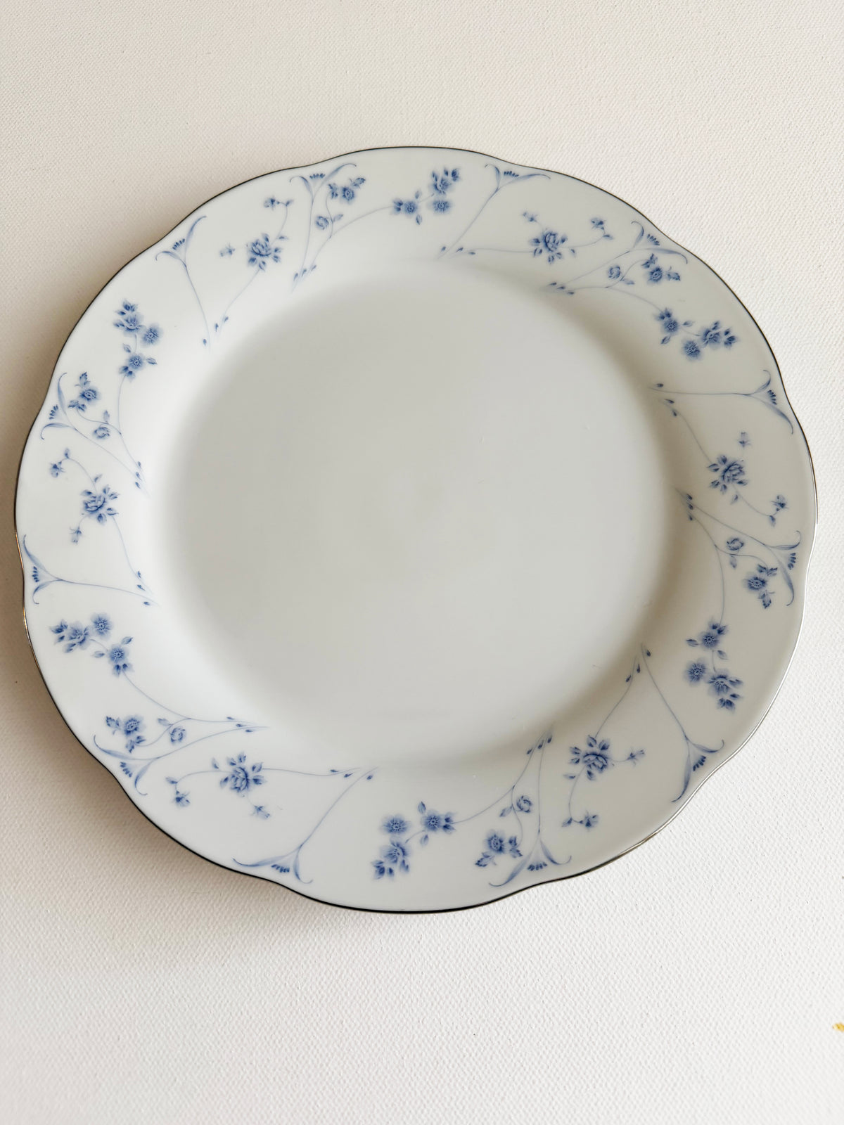 Custom Hand-Painted Dog Portrait on a Vintage Plate, Blue dawn, Medium 8"