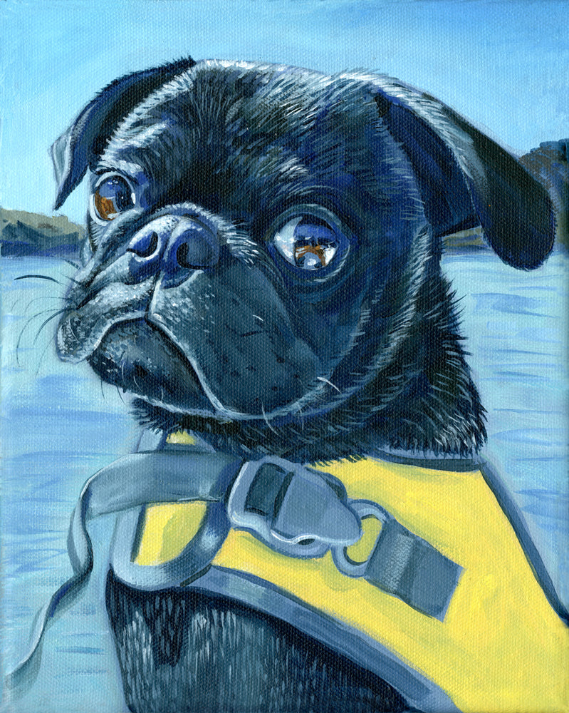 Custom Pet Portrait Commission