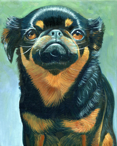 Custom Pet Portrait Commission