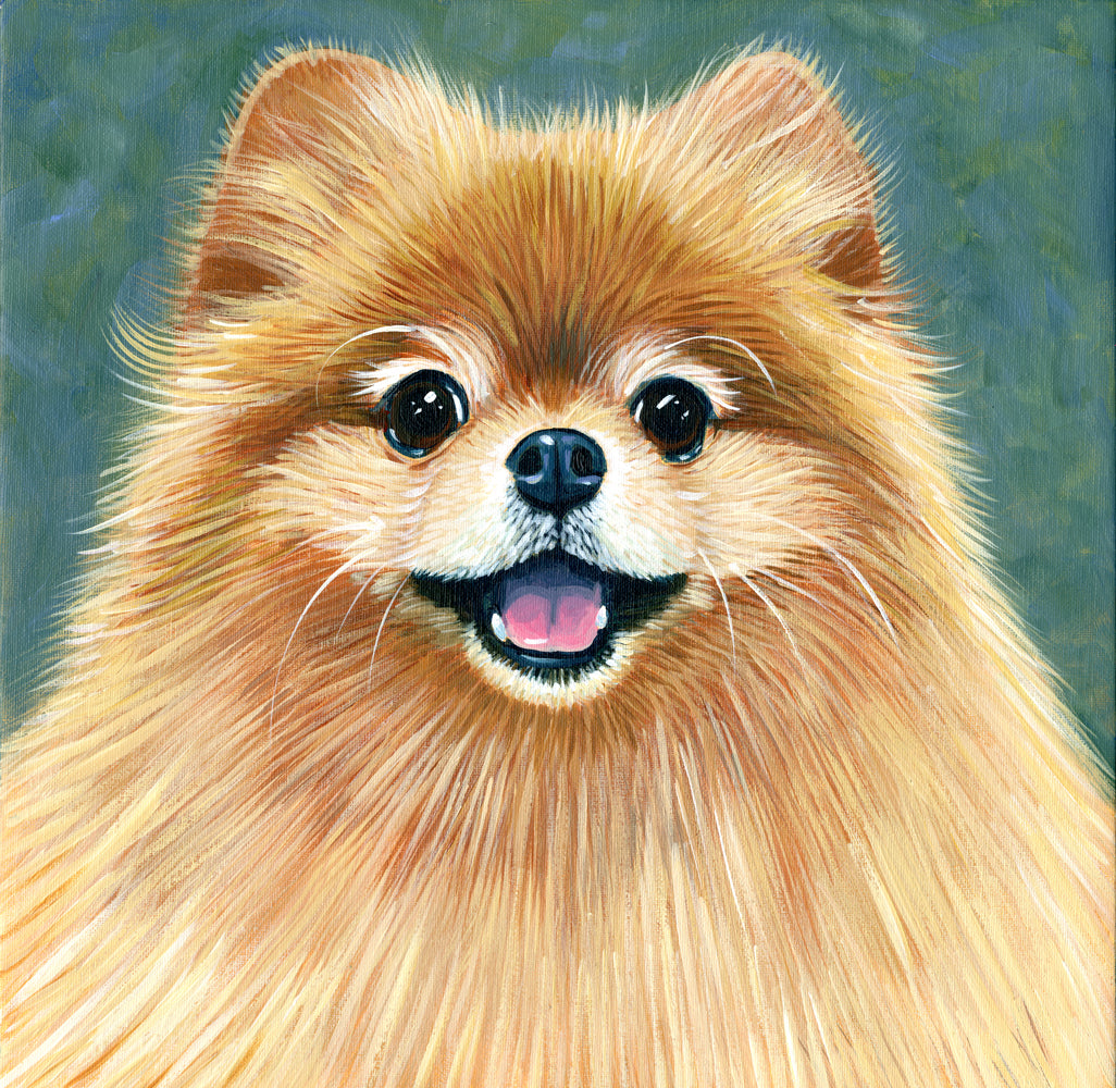 Custom Pet Portrait Commission