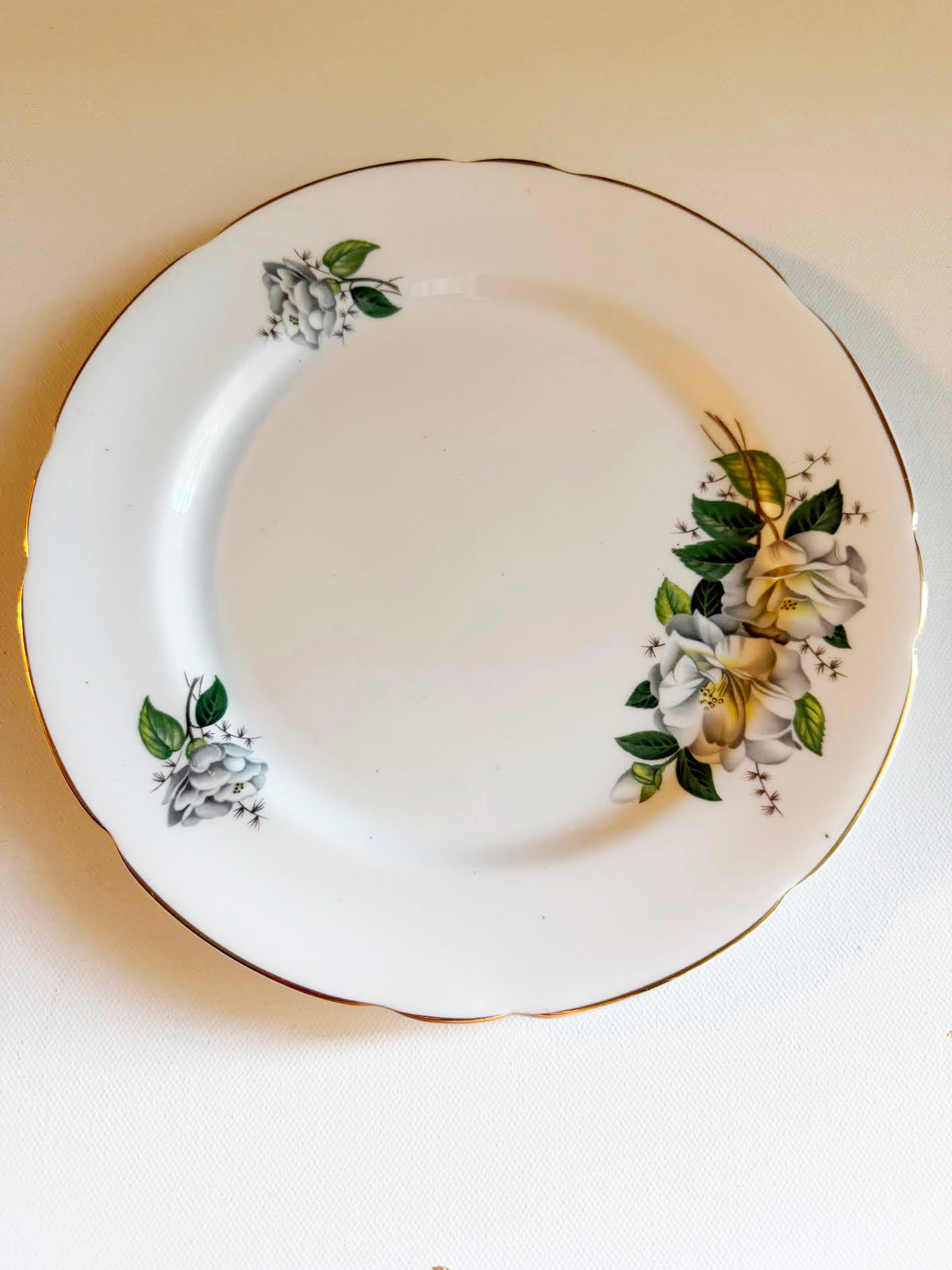 Custom Hand-Painted Dog Portrait on a Vintage Plate, silver cluster roses, Medium 8"