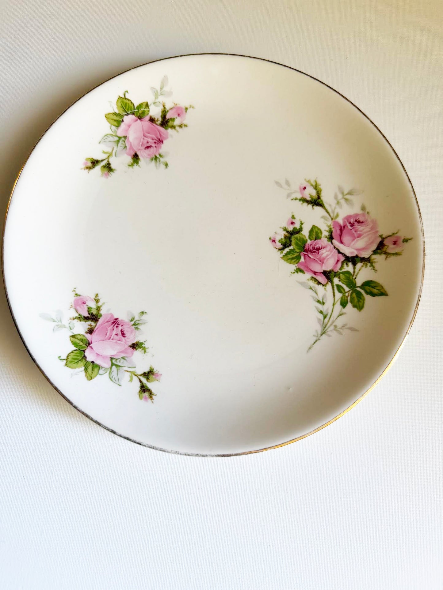Custom Hand-Painted Dog Portrait on a Vintage Plate, vintage roses, Medium 8"